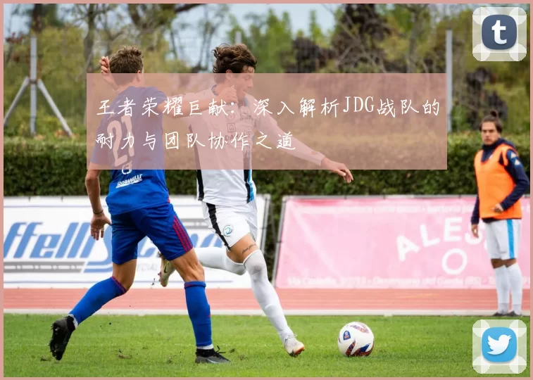 王者荣耀巨献:深入解析JDG战队的耐力与团队协作之道