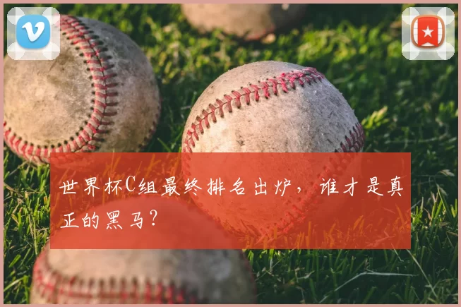 世界杯C组最终排名出炉，谁才是真正的黑马？