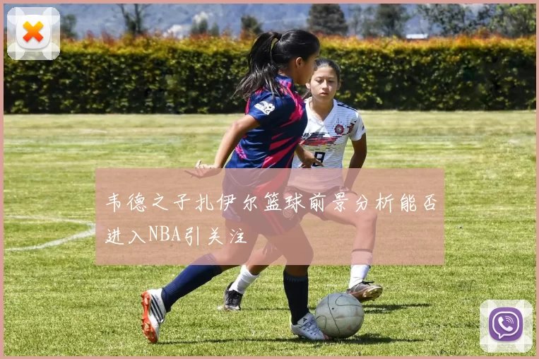 韦德之子扎伊尔篮球前景分析能否进入NBA引关注