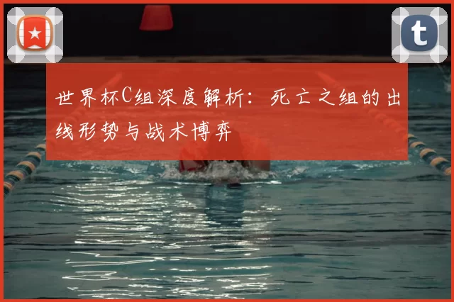 世界杯C组深度解析：死亡之组的出线形势与战术博弈