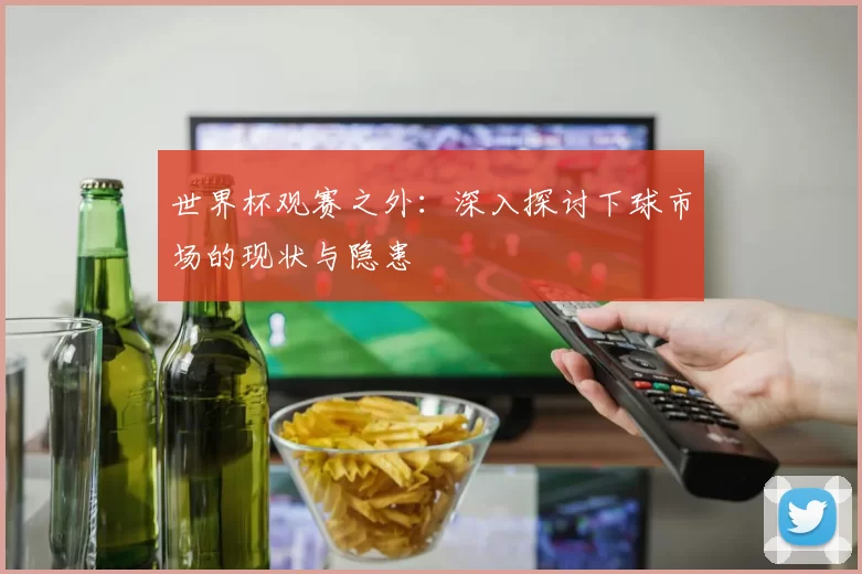 世界杯观赛之外：深入探讨下球市场的现状与隐患