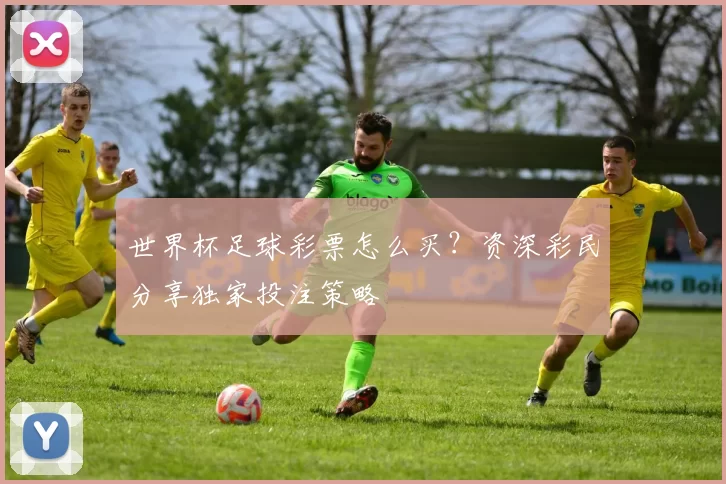 世界杯足球彩票怎么买？资深彩民分享独家投注策略