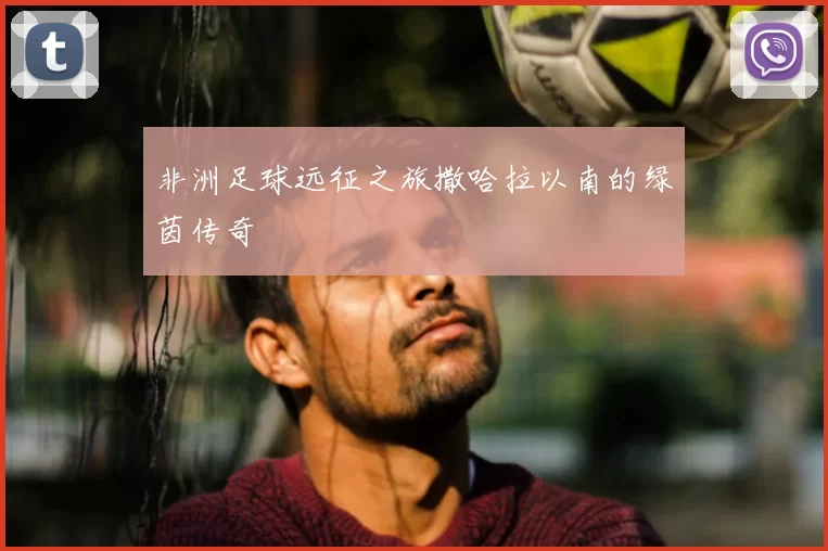 非洲足球远征之旅撒哈拉以南的绿茵传奇