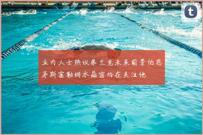 业内人士热议弗兰克未来前景伯恩茅斯富勒姆水晶宫均在关注他