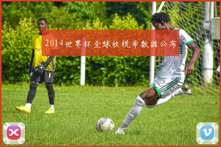 2014世界杯全球收视率数据公布