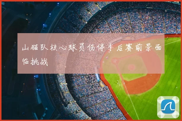 山猫队核心球员伤停季后赛前景面临挑战