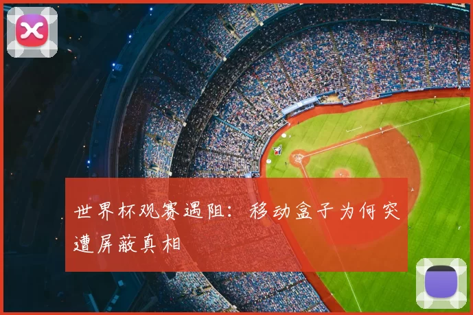 世界杯观赛遇阻：移动盒子为何突遭屏蔽真相