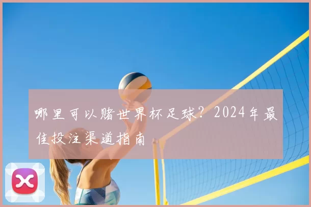 哪里可以赌世界杯足球?2024年最佳投注渠道指南