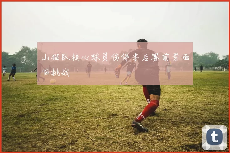 山猫队核心球员伤停季后赛前景面临挑战