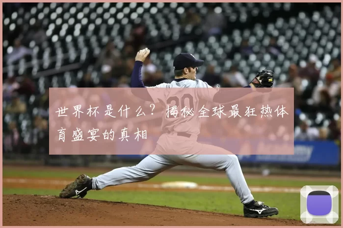 世界杯是什么？揭秘全球最狂热体育盛宴的真相