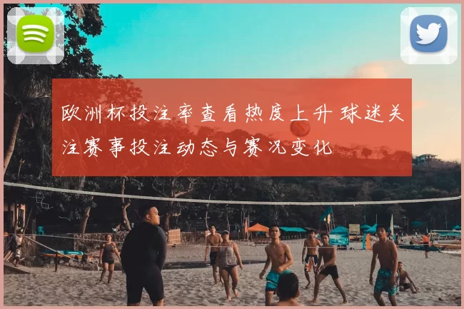 欧洲杯投注率查看热度上升 球迷关注赛事投注动态与赛况变化