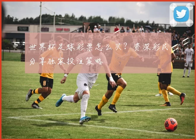 世界杯足球彩票怎么买？资深彩民分享独家投注策略