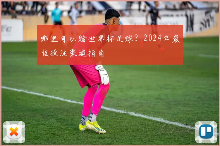 哪里可以赌世界杯足球?2024年最佳投注渠道指南
