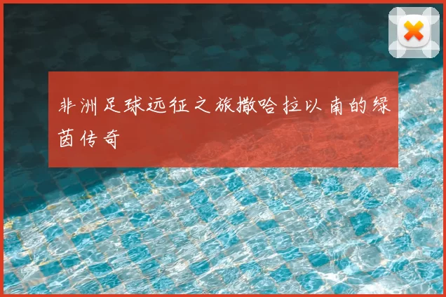 非洲足球远征之旅撒哈拉以南的绿茵传奇